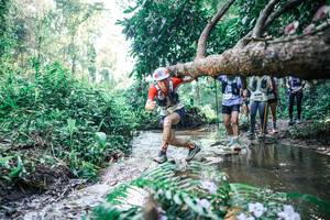 BIB: 
                            <button type="button" onclick="openModal(25446798)" class="btn btn-primary btn-sm float-right btn-popup" data-toggle="modal" data-target=".modal-high-quality">
                        <i class="fas fa-shopping-cart"></i> Add to Cart
                    </button>
                                            <button type="button" onclick="isThisMe(25446798, true)" class="btn btn-success btn-sm float-right btn-popup btn-isme hidden" data-toggle="tooltip" data-placement="bottom" title="นี่คือรูปของคุณใช่ไหม คลิกที่นี่เพื่อเอาเข้าอัลบั้ม">
                        <i class="fas fa-plus"></i> Add to album
                    </button>
                    <button type="button" onclick="isThisMe(25446798, false)" class="btn btn-warning btn-sm float-right btn-popup btn-isnotme hidden">
                        <i class="fas fa-ban"></i> Remove from album
                    </button>